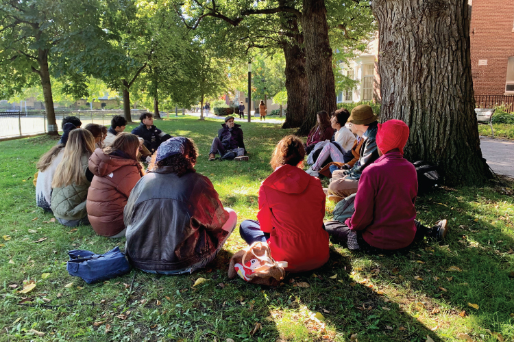 A group of people sit in a circle under a beautiful lush tree.